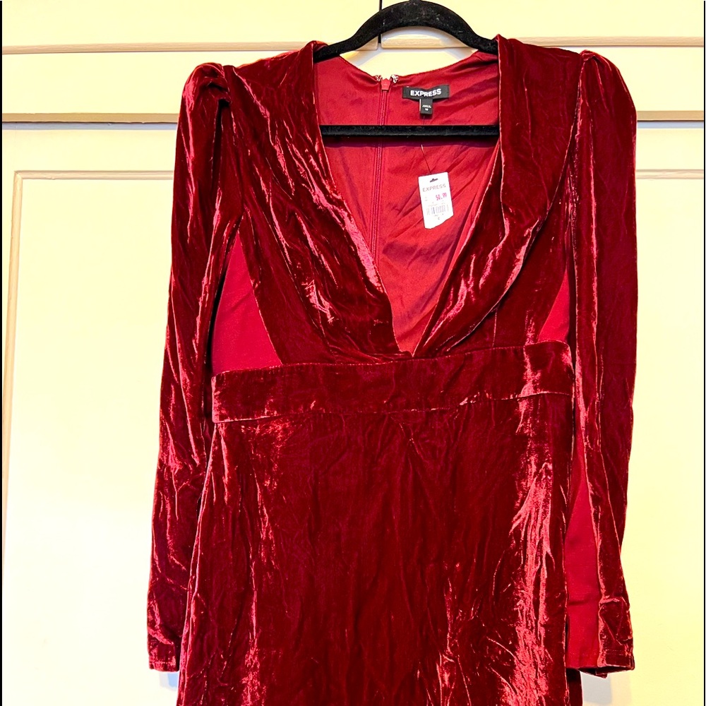 Express Velvet Dress
